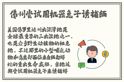 错一题就往阴里放一支笔